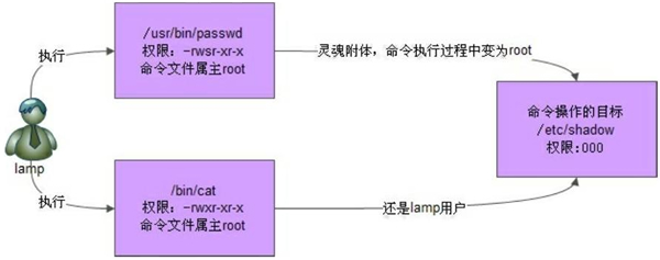 SUID示意图